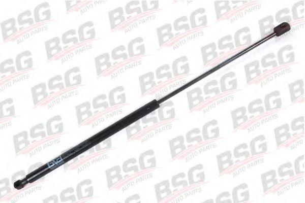 BSG 30-980-006