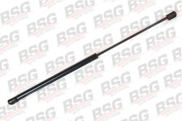 BSG 30-980-007