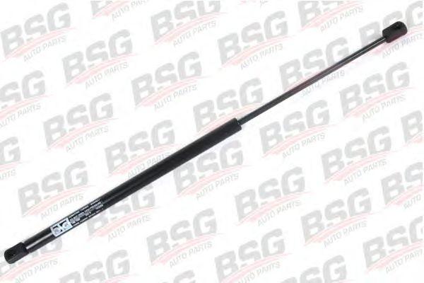 BSG 30-980-008
