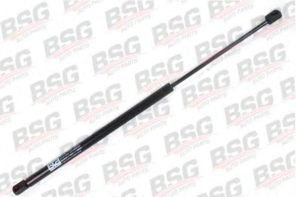 BSG 30-980-010