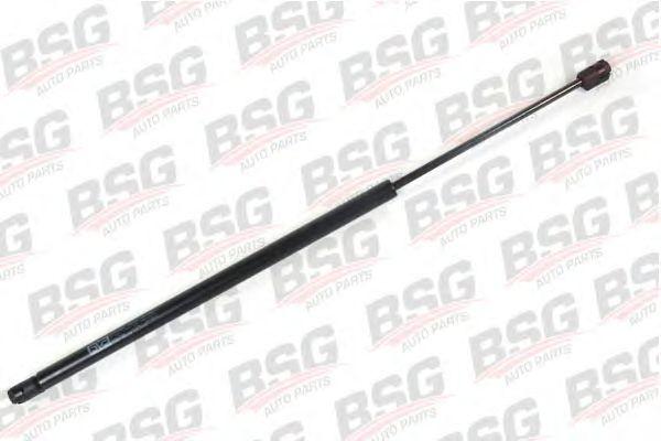 BSG 30-980-011