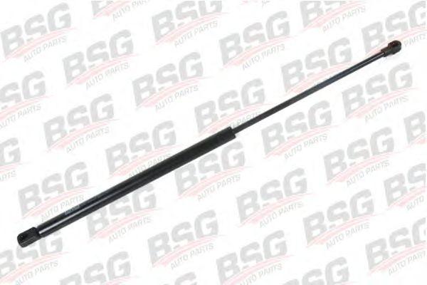 BSG 30-980-015