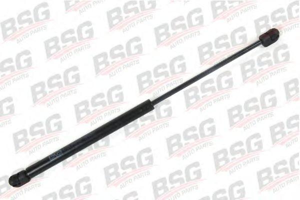 BSG 30-980-018
