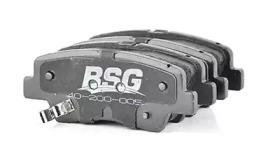 bsg 40-200-005