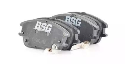 BSG 40-200-012