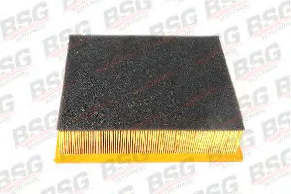 BSG 60-135-001