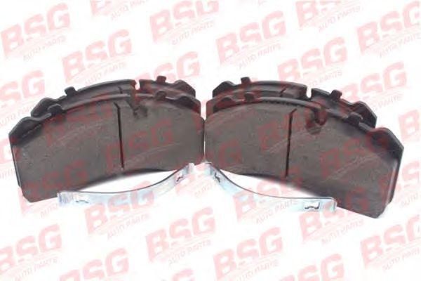 BSG 60-200-004