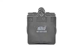BSG60200025
