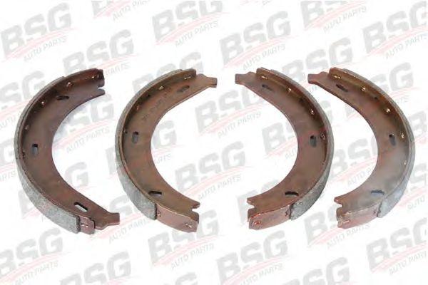BSG 60-205-001