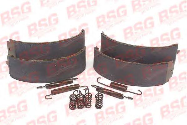 BSG 60-205-003