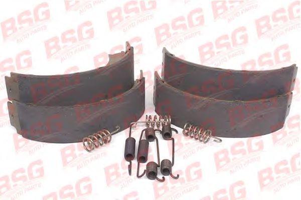 BSG 60-205-005
