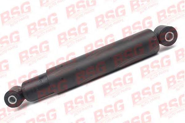 BSG 60-300-002