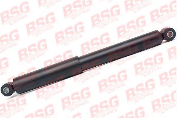 BSG 60-300-018