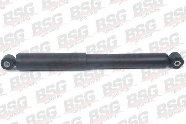 BSG 60-300-021