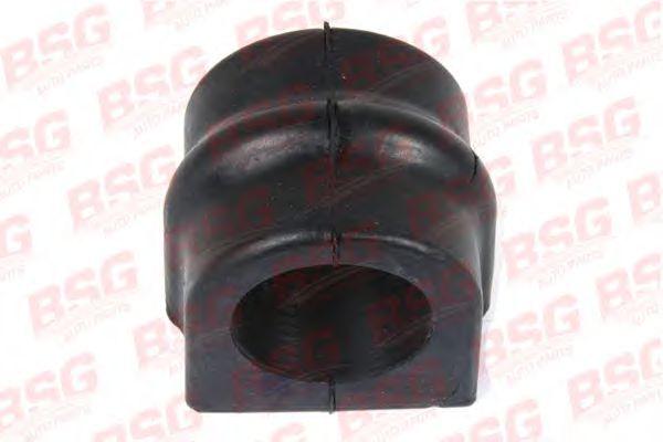 BSG 60-700-007