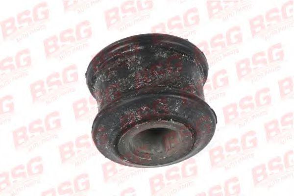 BSG 60-700-010