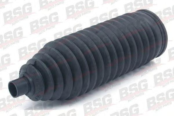 BSG 60-705-001