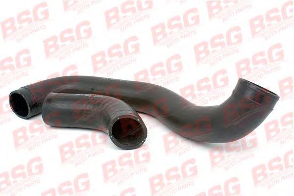 BSG 60-720-008