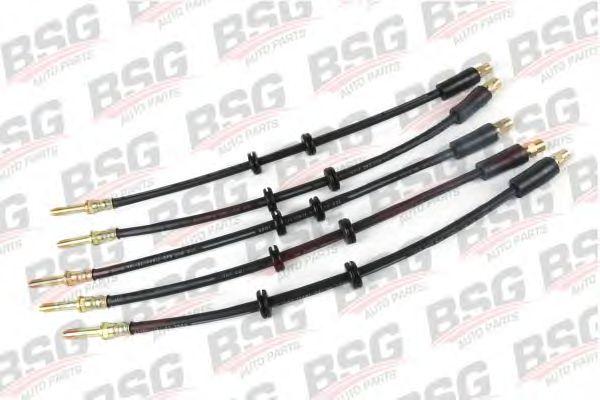 BSG 60-730-004
