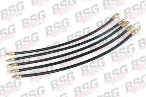 BSG 60-730-005