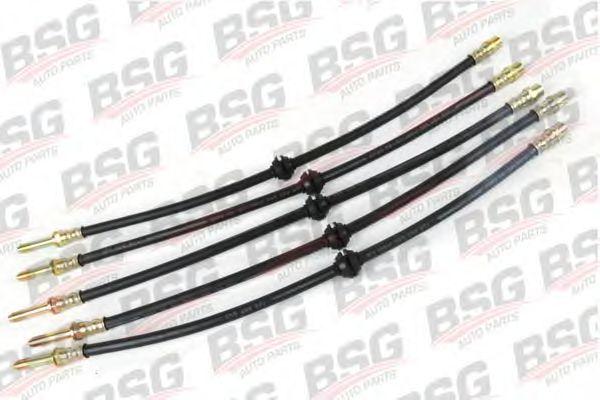 BSG 60-730-006