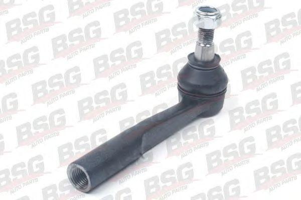 BSG 65-310-013