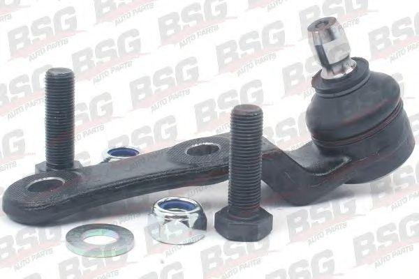BSG 65-310-030