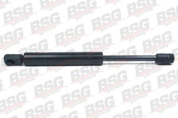 BSG 65-980-005
