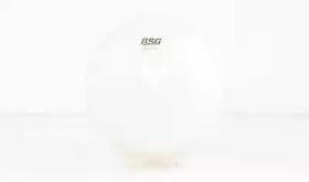 BSG 70-550-009