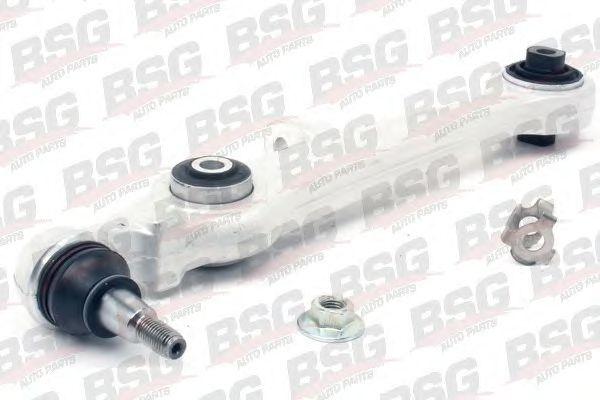 BSG 90-310-001