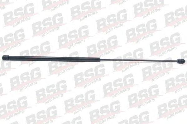 BSG 90-980-003