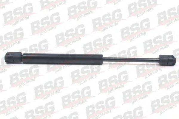 BSG 90-980-005
