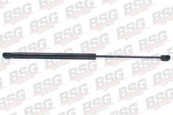 BSG 90-980-011