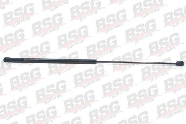 BSG 90-980-015