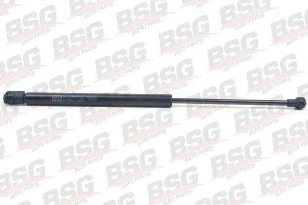BSG 90-980-019