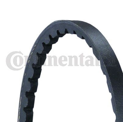 AVX10X1400