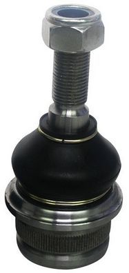 D110010