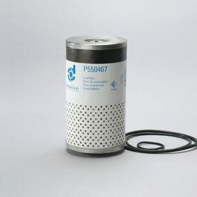 P550481