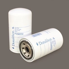 P558250