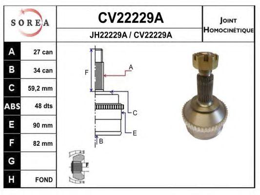 CV22229AK