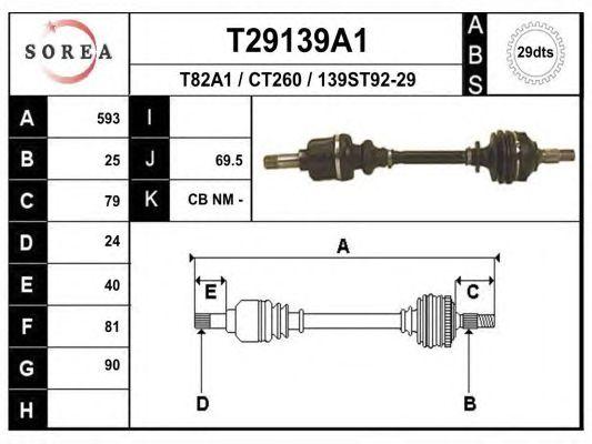 T29139A1
