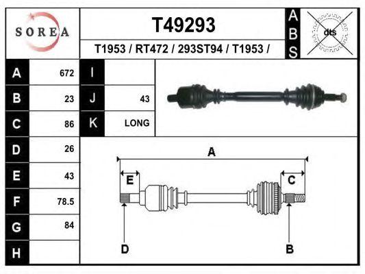 T49293