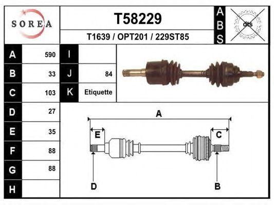 T58229
