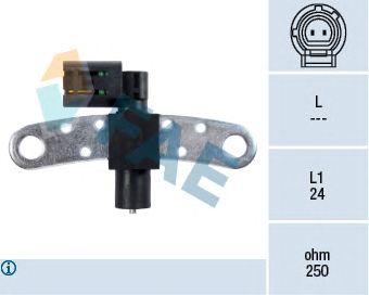 79029