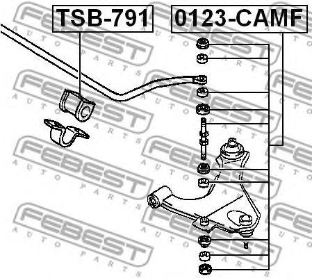 0123-CAMF