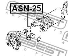 ASN-25