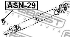 ASN-29