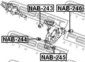 NAB-246