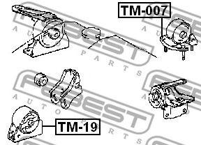 TM-007