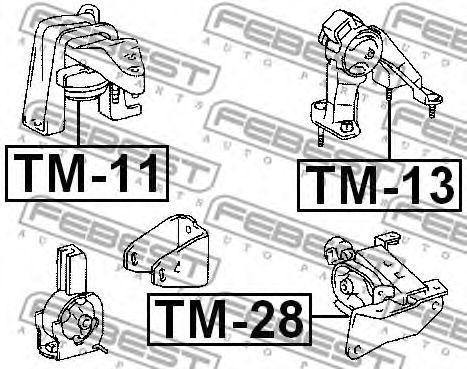TM-11